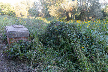 A wide view of an archaeological remnant from a past industrial era. The structure is now part of the serene, natural landscape of the countryside.