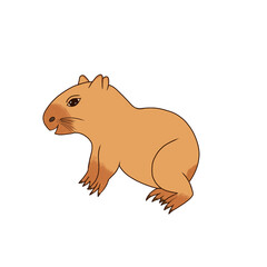 Cute cartoon wombat illustration on transparent background