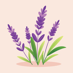 Delicate lavender plant illustration with soft color gradients and botanical details