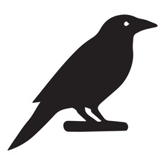 Fototapeta premium Crow silhouette vector with white background