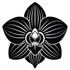 Elegant flat design illustration of a single orchid flower with vibrant colors © SHAHNAZ