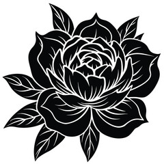 Modern minimalist peony flower vector illustration with elegant floral design elements