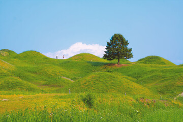 대구 불로동 고분군 정상