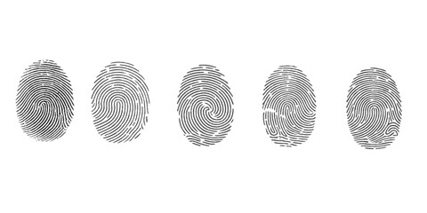 Unique Fingerprint Pattern on White Background for Forensic and Security Concepts,Collection of group fingerprints