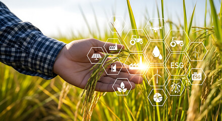 Sustainable agricultural practices and environmental, social, and governance impact in farming with a farmer's hand holding rice crop