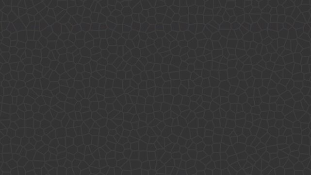 A dark gray abstract animation featuring a cracked or fractured surface texture that slowly morphs and changes shape. The pattern moves fluidly, creating an illusion of shifting stone.