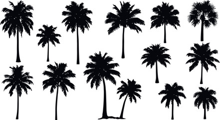 Obraz premium Collection of Black Palm Tree Silhouettes tropical
