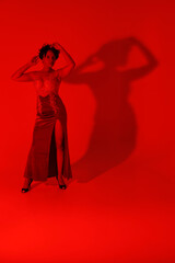 A slender dark-haired woman in a long dress through a red filter with a shadow on the wall
