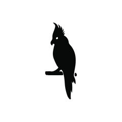 Fototapeta premium Parrot silhouette vector with white background