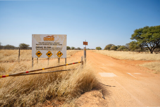 The Cheetah Conservation Fund north of Windhoek, Namibia