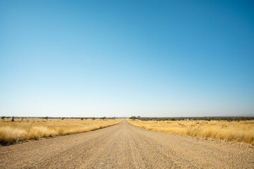 Dirt road winding through the savanna of Outjo District, Namibia