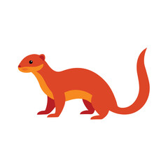 Mongoose on White Background