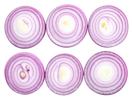 Close-up view of sliced red onions
