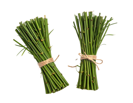 Two bundles of green stems tied with twine