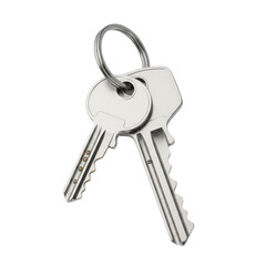 Metallic pair of keys symbolizing security and access on a transparent area symbolizing safety and