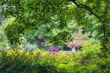 Planten un Blomen gardens, Hamburg, Germany