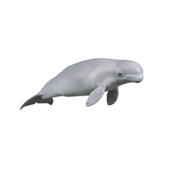 Fototapeta premium beluga whale isolated on transparent background