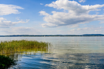 Güttingen, Bodensee, See, Seeufer, Uferweg, Ufer, Wasservögel, Schilf, Naturschutz, Wassersport, Seerundfahrt, Sommer, Ostschweiz, Thurgau, Schweiz