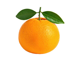 Single, fresh orange with leaves