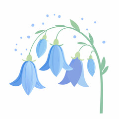 Artistic bluebell illustration with green stems and leaves isolated on white