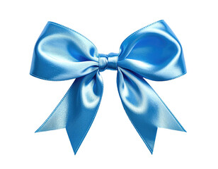 Light blue satin ribbon bow (2)