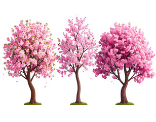 Three cherry blossom trees against a black background