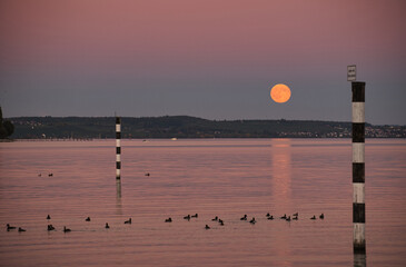 Bodensee, Mondaufgang über dem Wasser