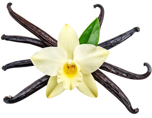 Vanilla orchid and beans