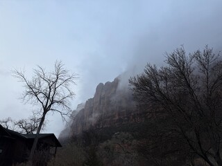 View from Zion canyon trail.