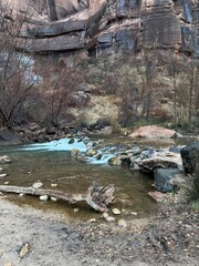 View from Zion canyon trail.