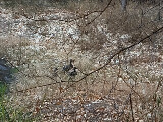 View from Zion canyon trail.