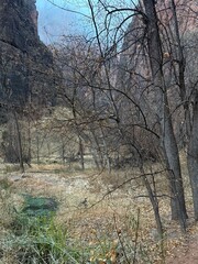 View from Zion canyon trail.