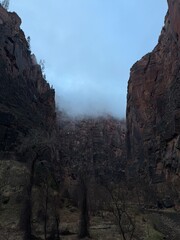 View from Zion canyon trail.