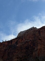 View from Zion canyon trail.