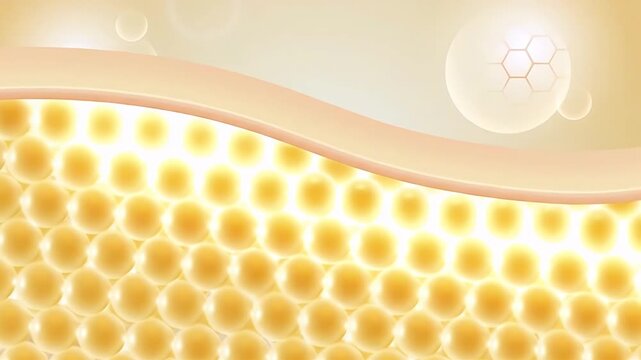 An illustration of skin layers and the hydration process isolated on transparent background