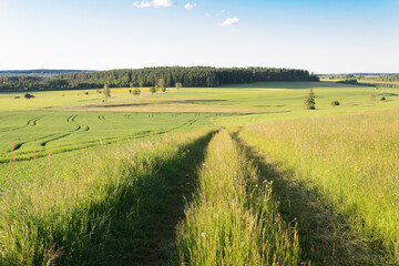 Tractor Path Leading Through Rural Fields