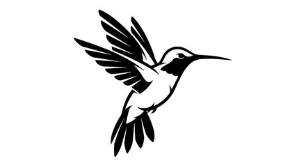 Elegant black and white line art illustration of a hummingbird in flight with wings outstretched against a white background