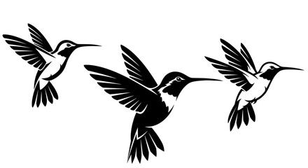 Fototapeta premium Three stylized black and white hummingbirds in flight depicted with dynamic wings and delicate bodies against a clean white background symbolizing nature and movement