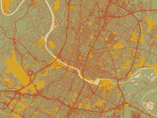 Contemporary flat map of Austin, Texas rendered with olive backdrop with warm rust street network and ochre blocks.