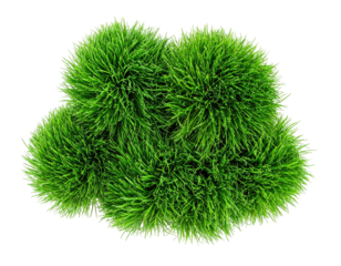 Lush green clumps of faux grass