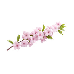 Obraz premium Delicate Blossoms with Pink Petals and Green Leaves on White Background