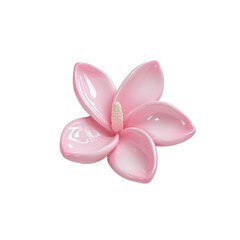 Delicate Pink Flower with Glossy Petals on White Background