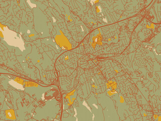 Stylized minimalist map of Danbury, Connecticut in sage/olive tone field with rust networks and ochre shapes, cream water.