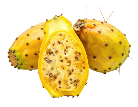 Yellow prickly pear fruits