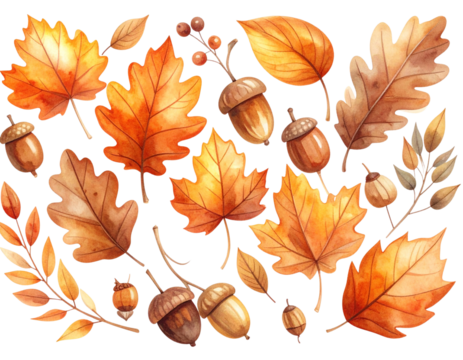 Whimsical Autumn Watercolor Leaves and Acorns Clipart Set, Hand-Painted Forest Elements, Isolated on Transparent Background - Powered by Adobe