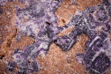 Micro crystals of fluorite and amethyst on sandstone: Mys Korabl deposit, White Sea, Russia. Magnification scale 3.7X