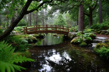 Serene wooden bridge over a tranquil stream surrounded by lush greenery in a peaceful forest