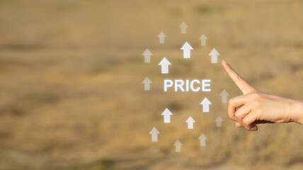 Price word with a growing arrows.