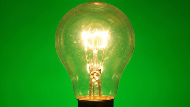 light bulb on green background