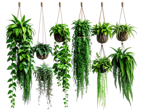 Hanging plant displays